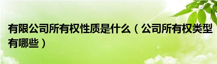 有限公司所有权性质是什么（公司所有权类型有哪些）