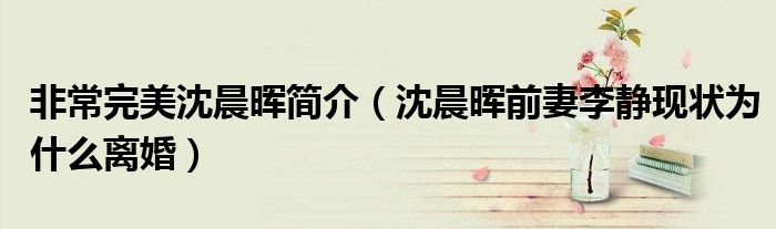 非常完美沈晨晖简介（沈晨晖前妻李静现状为什么离婚）
