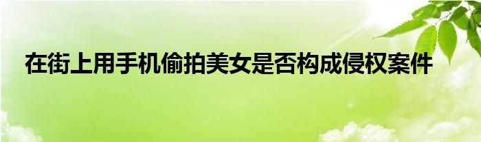 在街上用手机偷拍美女是否构成侵权案件