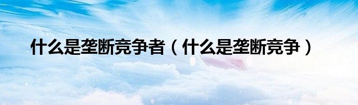什么是垄断竞争者（什么是垄断竞争）