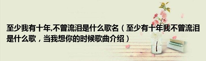 至少我有十年,不曾流泪是什么歌名（至少有十年我不曾流泪是什么歌，当我想你的时候歌曲介绍）