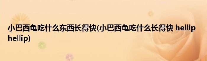小巴西龟吃什么东西长得快(小巴西龟吃什么长得快 hellip  hellip)