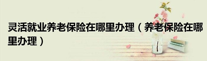 灵活就业养老保险在哪里办理（养老保险在哪里办理）