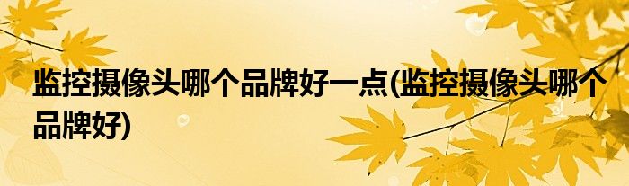 监控摄像头哪个品牌好一点(监控摄像头哪个品牌好)