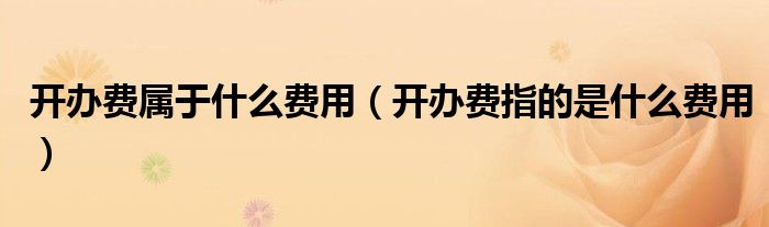 开办费属于什么费用（开办费指的是什么费用）
