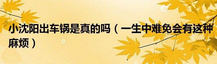 小沈阳出车锅是真的吗（一生中难免会有这种麻烦）