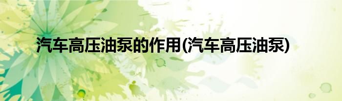汽车高压油泵的作用(汽车高压油泵)