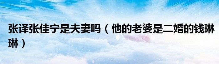张译张佳宁是夫妻吗（他的老婆是二婚的钱琳琳）