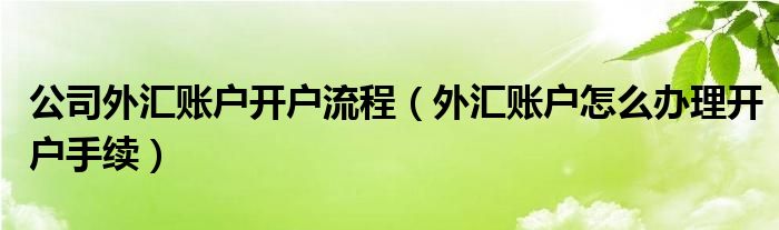 公司外汇账户开户流程（外汇账户怎么办理开户手续）