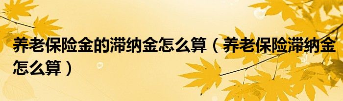 养老保险金的滞纳金怎么算（养老保险滞纳金怎么算）