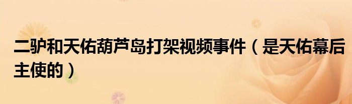 二驴和天佑葫芦岛打架视频事件（是天佑幕后主使的）