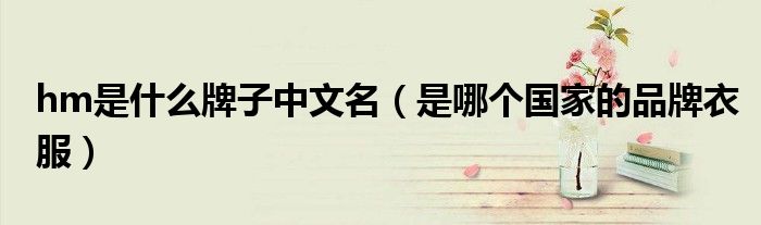 hm是什么牌子中文名（是哪个国家的品牌衣服）