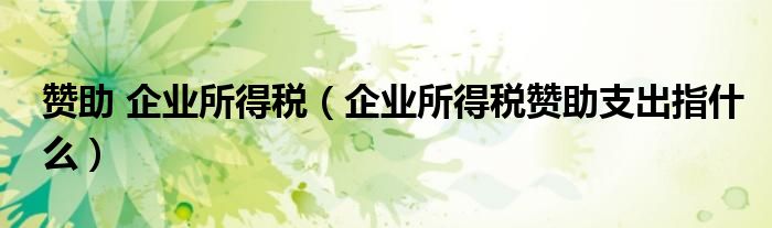 赞助 企业所得税（企业所得税赞助支出指什么）