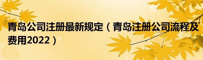 青岛公司注册最新规定（青岛注册公司流程及费用2022）
