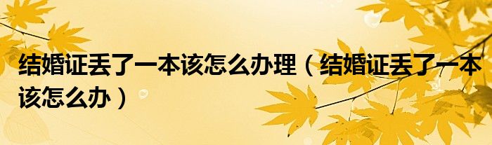结婚证丢了一本该怎么办理（结婚证丢了一本该怎么办）