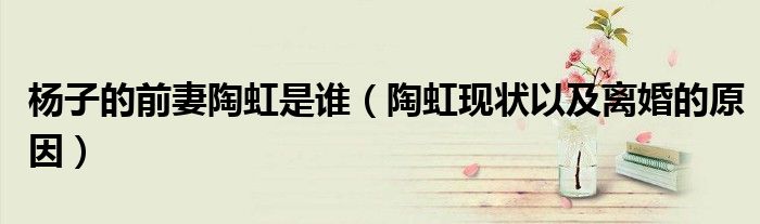 杨子的前妻陶虹是谁（陶虹现状以及离婚的原因）