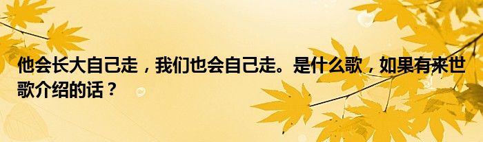 他会长大自己走，我们也会自己走。是什么歌，如果有来世歌介绍的话？