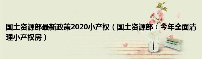 国土资源部最新政策2020小产权（国土资源部：今年全面清理小产权房）