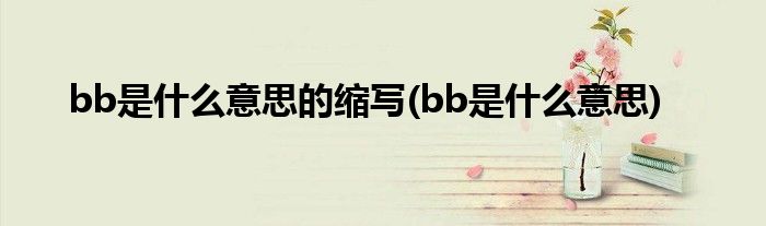 bb是什么意思的缩写(bb是什么意思)