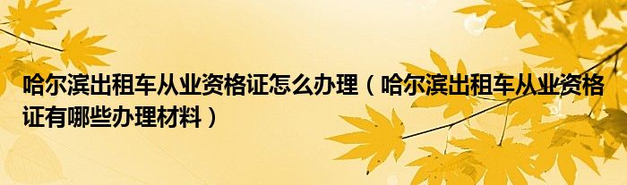 哈尔滨出租车从业资格证怎么办理（哈尔滨出租车从业资格证有哪些办理材料）