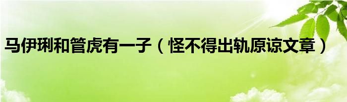 马伊琍和管虎有一子（怪不得出轨原谅文章）