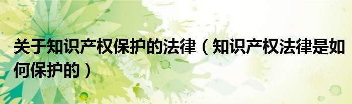 关于知识产权保护的法律（知识产权法律是如何保护的）