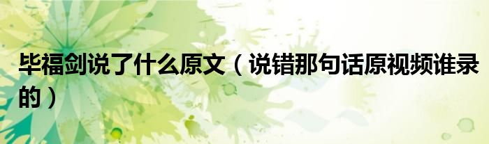 毕福剑说了什么原文（说错那句话原视频谁录的）