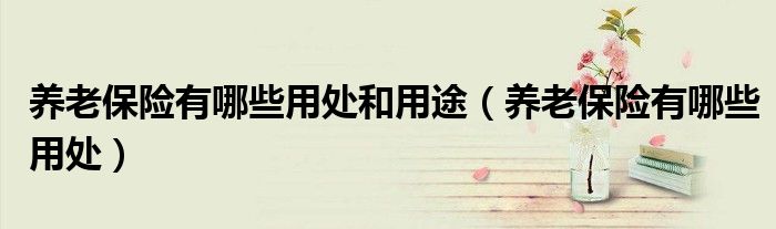 养老保险有哪些用处和用途（养老保险有哪些用处）