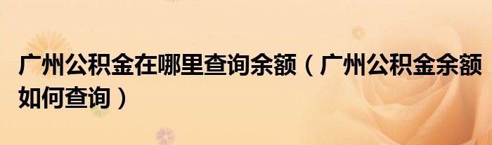 广州公积金在哪里查询余额（广州公积金余额如何查询）