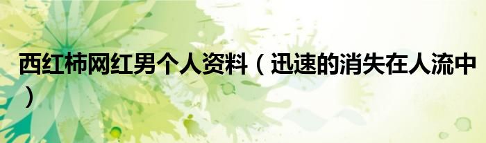 西红柿网红男个人资料（迅速的消失在人流中）