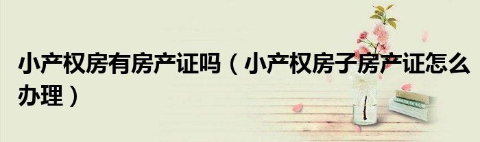 小产权房有房产证吗（小产权房子房产证怎么办理）