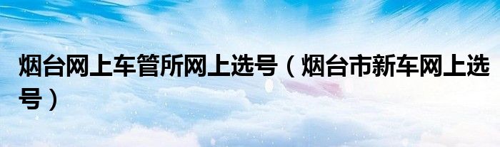 烟台网上车管所网上选号（烟台市新车网上选号）