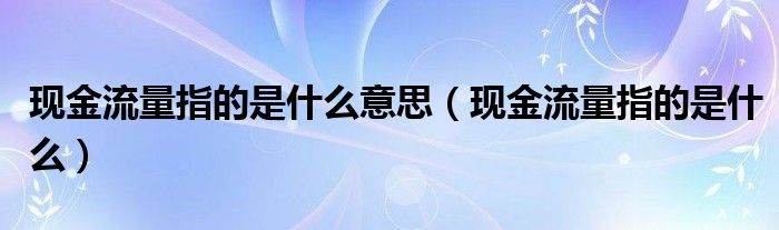 现金流量指的是什么意思（现金流量指的是什么）