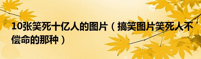 10张笑死十亿人的图片（搞笑图片笑死人不偿命的那种）