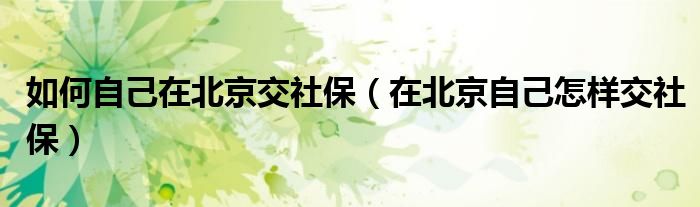 如何自己在北京交社保（在北京自己怎样交社保）