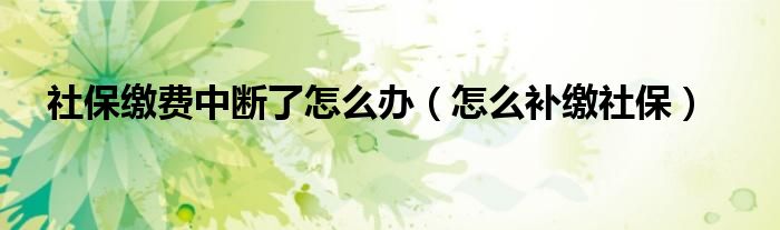 社保缴费中断了怎么办（怎么补缴社保）
