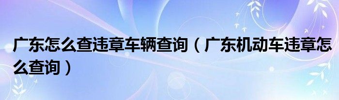 广东怎么查违章车辆查询（广东机动车违章怎么查询）