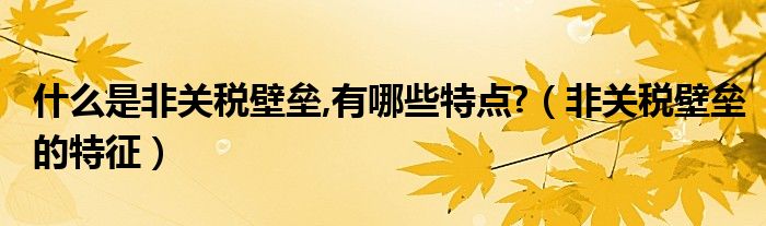 什么是非关税壁垒,有哪些特点?（非关税壁垒的特征）