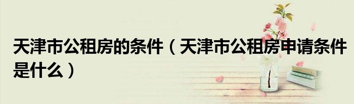 天津市公租房的条件（天津市公租房申请条件是什么）