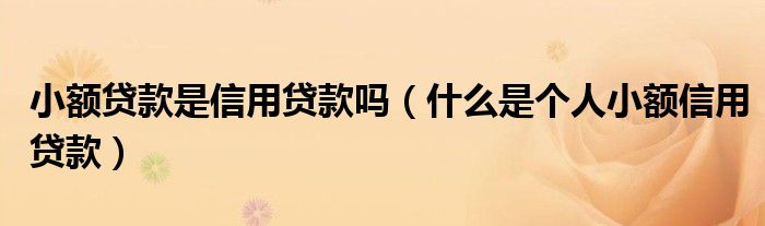 小额贷款是信用贷款吗（什么是个人小额信用贷款）