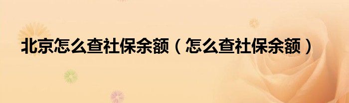 北京怎么查社保余额（怎么查社保余额）