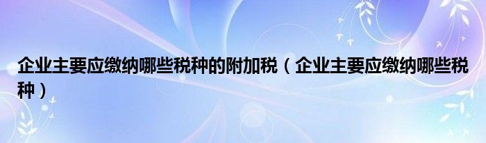 企业主要应缴纳哪些税种的附加税（企业主要应缴纳哪些税种）