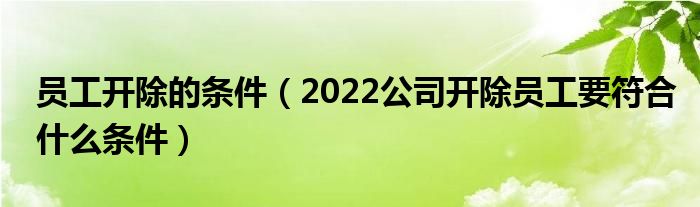 员工开除的条件（2022公司开除员工要符合什么条件）