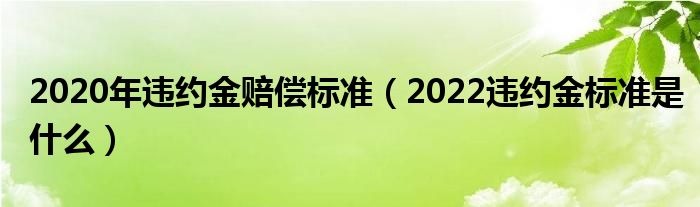 2020年违约金赔偿标准（2022违约金标准是什么）