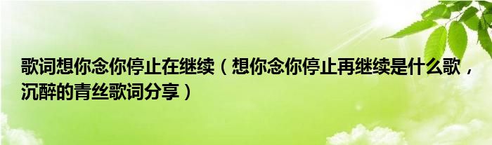 歌词想你念你停止在继续（想你念你停止再继续是什么歌，沉醉的青丝歌词分享）