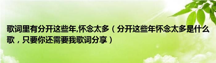 歌词里有分开这些年,怀念太多（分开这些年怀念太多是什么歌，只要你还需要我歌词分享）