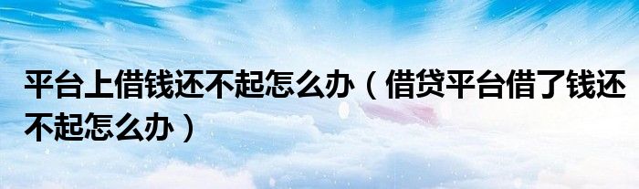 平台上借钱还不起怎么办（借贷平台借了钱还不起怎么办）