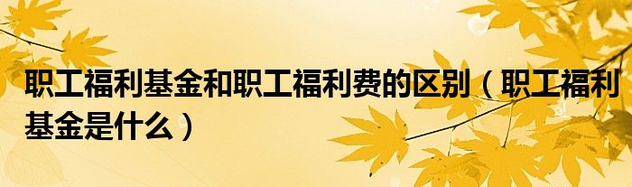 职工福利基金和职工福利费的区别（职工福利基金是什么）