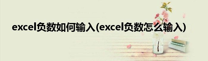 excel负数如何输入(excel负数怎么输入)