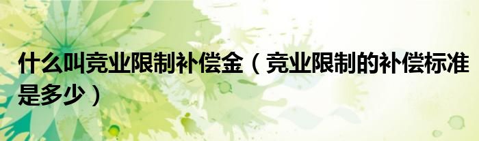 什么叫竞业限制补偿金（竞业限制的补偿标准是多少）